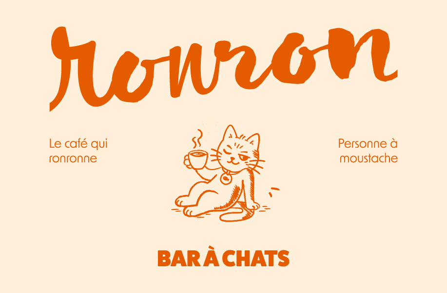 direction artistique Ronron bar à chats